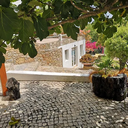 Casa De Pedra E Cal Guest house